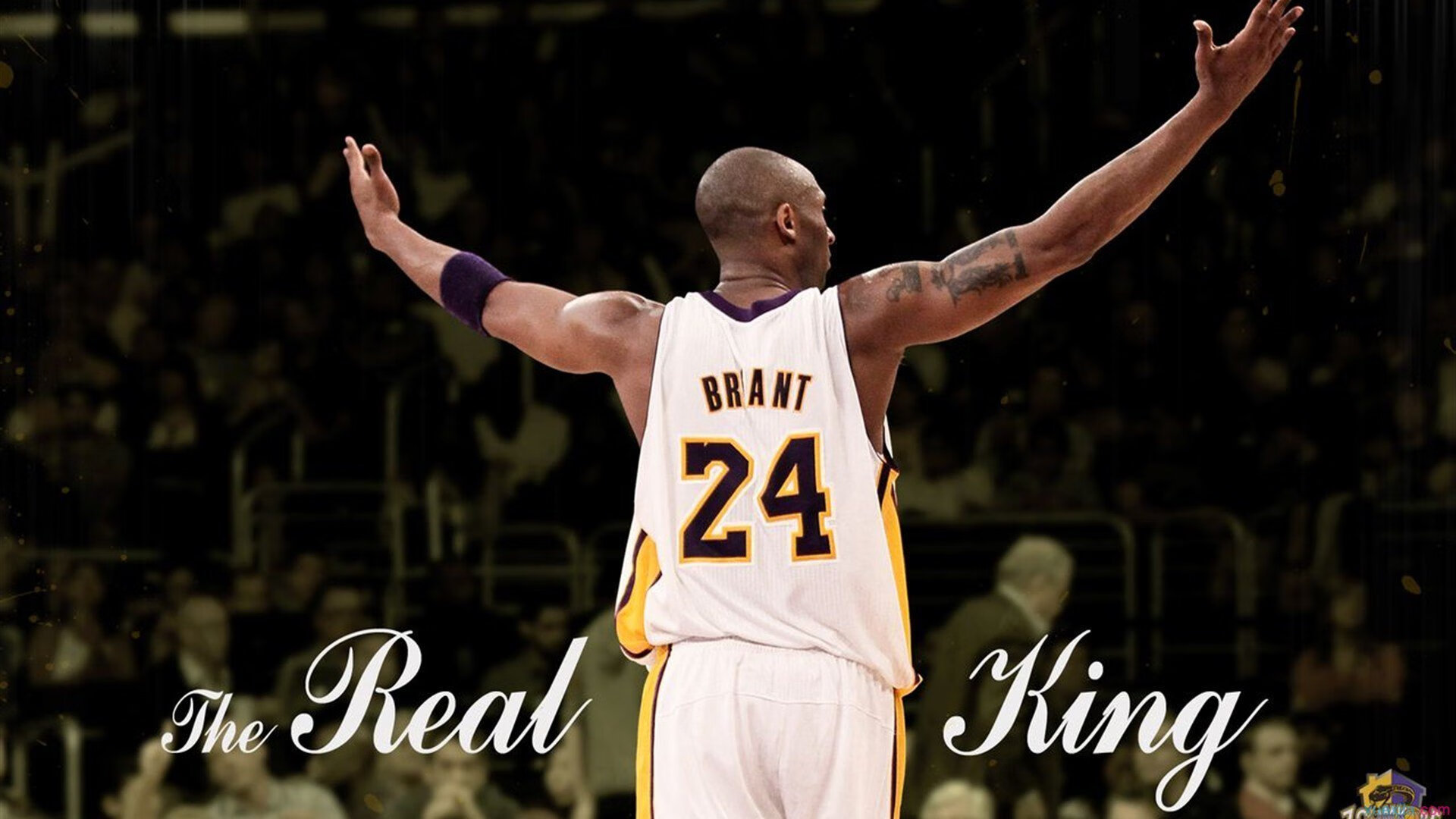 球迷热情支持，场上气氛火爆！，球迷们正在为队员们加油鼓劲